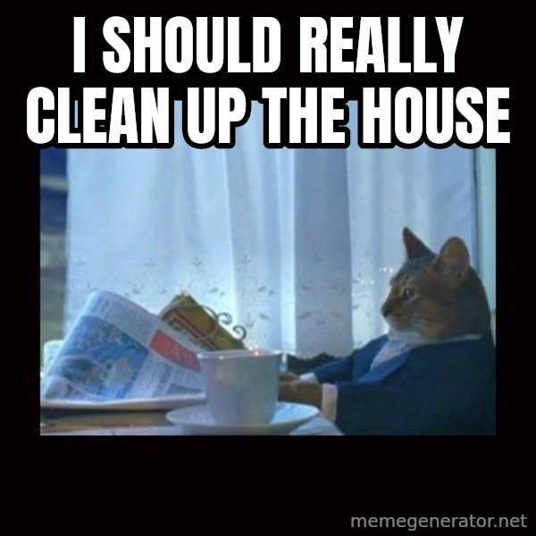 i should buy a boat cat meme: I should really clean up the house