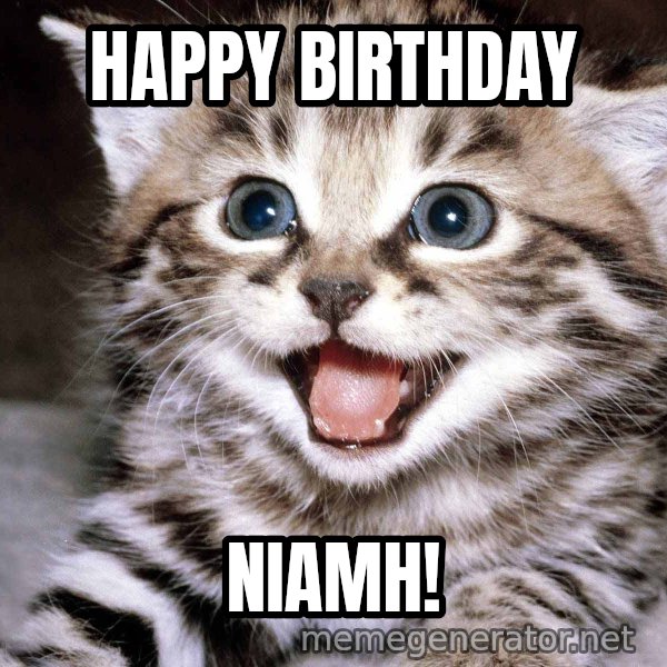HAPPY KITTEN meme: Happy Birthday / Niamh!