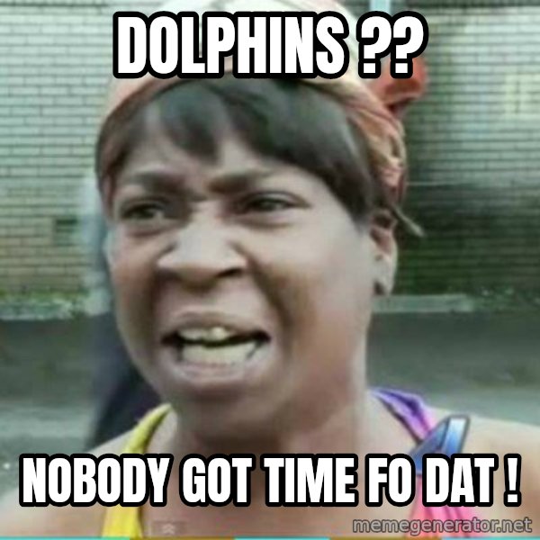Sweet Brown Meme meme: Dolphins ?? / Nobody got time FO dat !