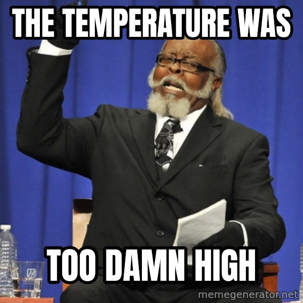 Rent Is Too Damn High meme: The Temperature was / too damn high