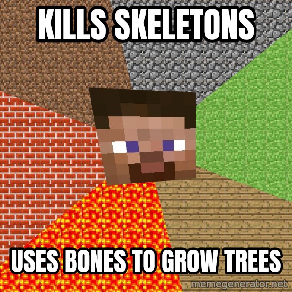 Minecraft Guy meme: Kills skeletons / Uses bones to grow trees