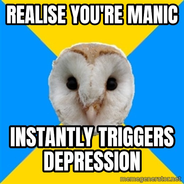 Bipolar Owl meme: realise you're manic / instantly triggers depression