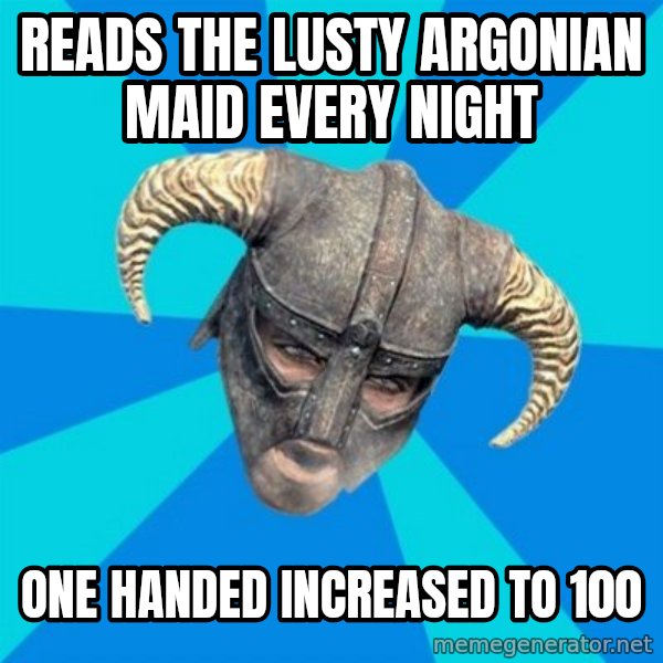 skyrim stan meme: reads the lusty argonian maid every night / one handed increased to 100