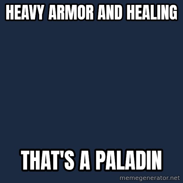 Thats a paddlin meme: Heavy armor and healing / That's a paladin