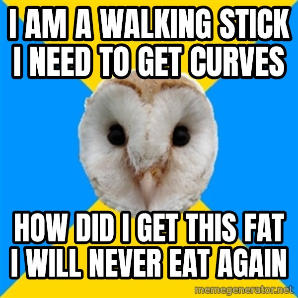Bipolar Owl meme: I am a walking stick i need to get curves / how did I get this fat i will never eat again