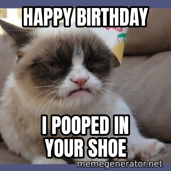 Birthday Grumpy Cat meme: Happy Birthday / I pooped in your shoe