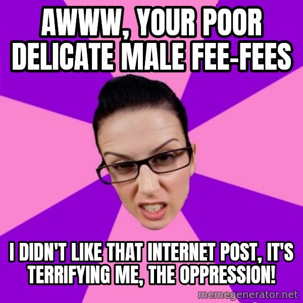 Privilege Denying Feminist meme: awww, your poor delicate male fee-fees / i didn't like that internet post, it's terrifying me, the oppression!