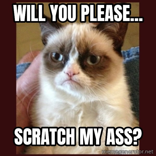 Tard the Grumpy Cat meme: will you please... / scratch my ass?