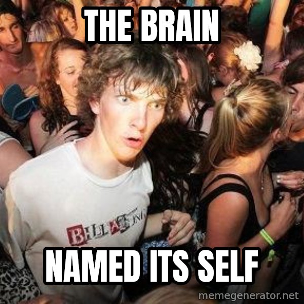 Sudden Realization Ralph meme: the brain / named its self