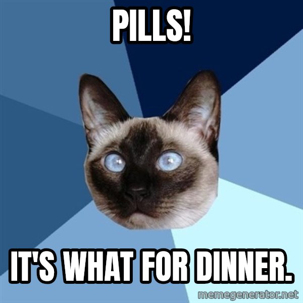 Chronic Illness Cat meme: Pills! / It's what for dinner.
