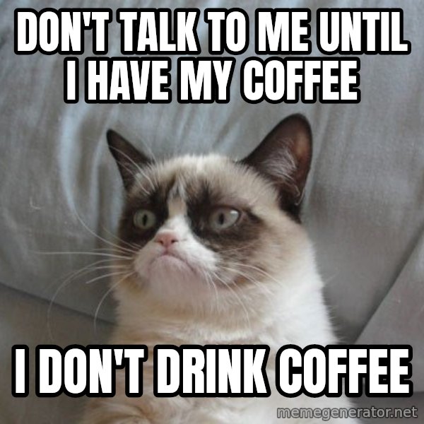Grumpy cat good meme: DON'T TALK TO ME UNTIL I HAVE MY COFFEE / I DON'T DRINK COFFEE