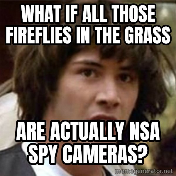what if meme meme: what if all those fireflies in the grass / are actually NSA spy cameras?