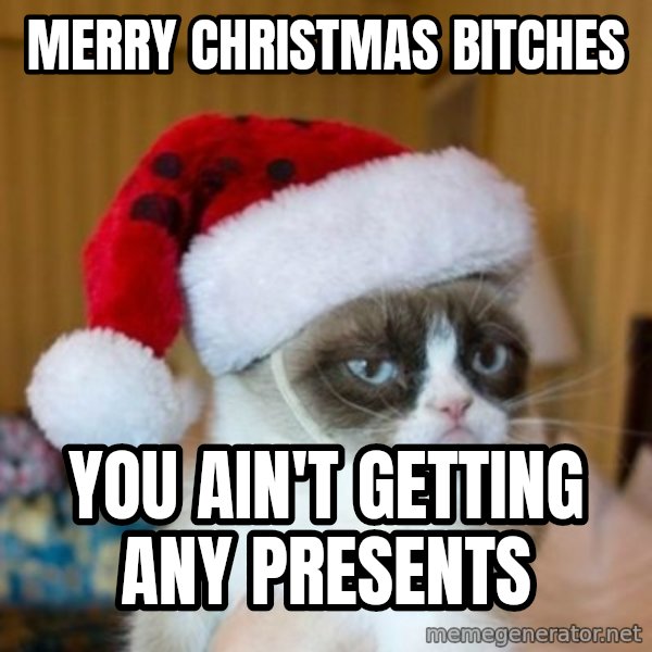Grumpy Cat Santa Hat meme: Merry Christmas Bitches / You ain't getting any presents