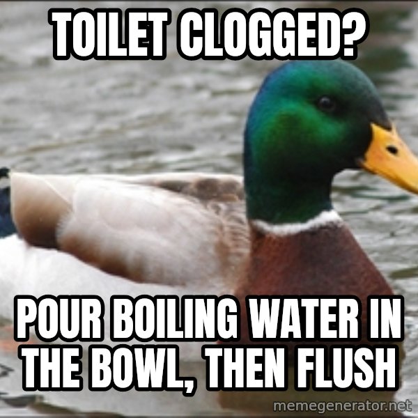 Actual Advice Mallard 1 meme: TOILET CLOGGED? / POUR BOILING WATER IN THE BOWL, THEN FLUSH