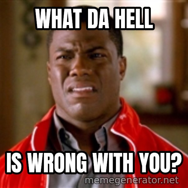 Kevin hart too meme: WHAT DA HELL / IS WRONG WITH YOU?