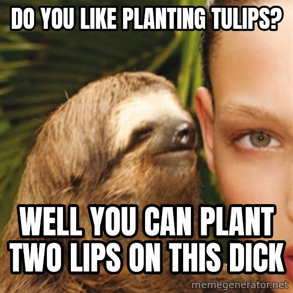 The Rape Sloth meme: Do you like planting tulips? / Well you can plant two lips on this dick