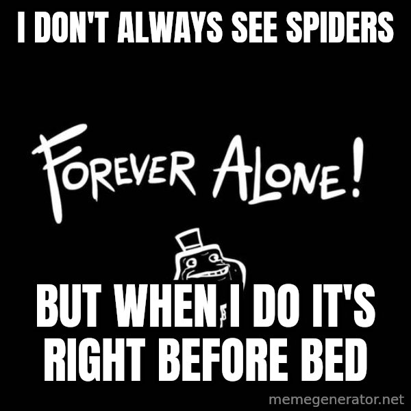 The Most Interesting Man In The World meme: i don't always see spiders / but when i do it's right before bed
