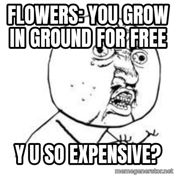Y U SO meme: Flowers: You grow in ground for free / Y U SO EXPENSIVE?