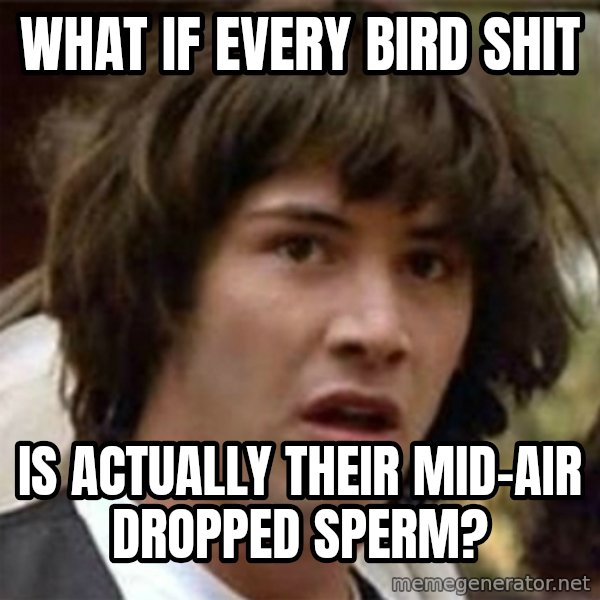 what if meme meme: What if every bird shit / is actually their mid-air dropped sperm?