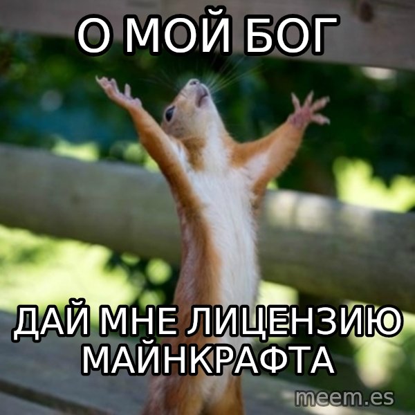 Praising Squirrel meme: о мой бог / дай  мне лицензию майнкрафта