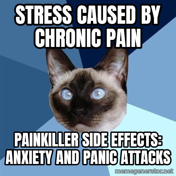 Chronic Illness Cat meme: stress caused by chronic pain / PAINkiller side effects: anxiety and panic attacks