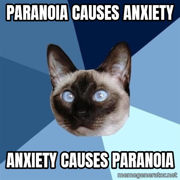 Chronic Illness Cat meme: Paranoia causes anxiety / anxiety causes paranoia