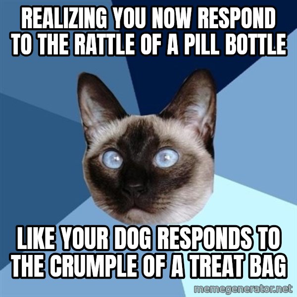 Chronic Illness Cat meme: realizing you now respond to the rattle of a pill bottle / like your dog responds to the crumple of a treat bag