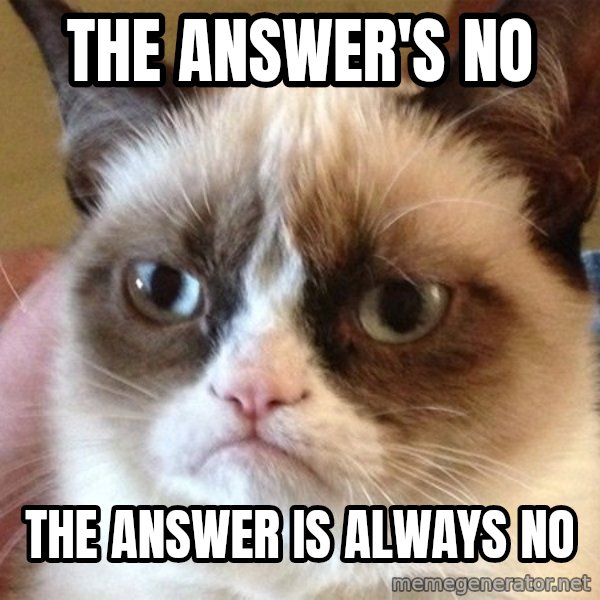 Angry Cat Meme meme: the answer's no / the answer is always no