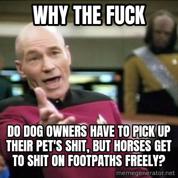 Why the fuck meme: Why the fuck / Do dog owners have to pick up their pet's shit, but horses get to shit on footpaths freely?