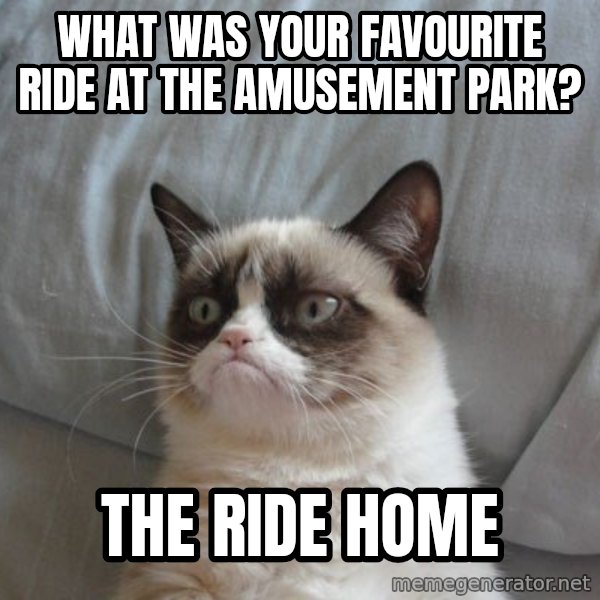 Grumpy cat good meme: What was your favourite ride at the amusement park? / The ride home