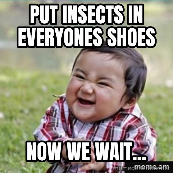 evil plan kid meme: Put insects in everyones shoes / Now we wait...