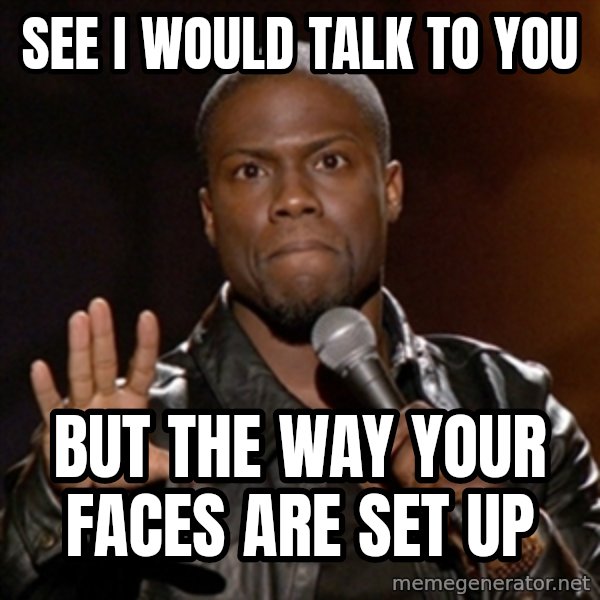Kevin Hart meme: see i would talk to you / but the way your faces are set up