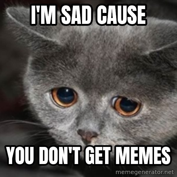 Sadcat meme: I'm sad cause / You don't get memes