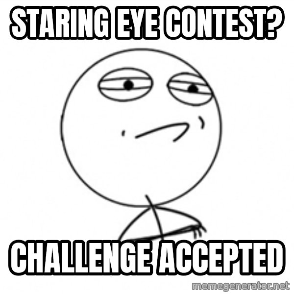 Challenge Accepted meme: staring eye contest? / Challenge accepted
