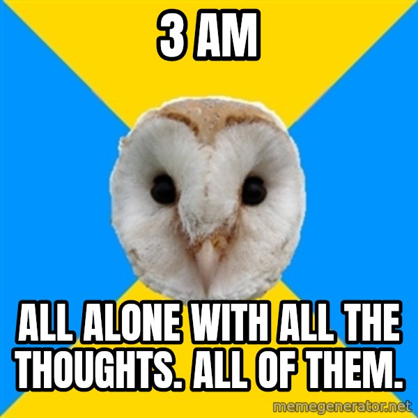Bipolar Owl meme: 3 AM / All alone with all the thoughts. ALL OF THEM.