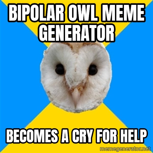 Bipolar Owl meme: bipolar owl meme generator / becomes a cry for help