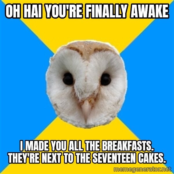 Bipolar Owl meme: oh hai you're finally awake / i made you all the breakfasts. they're next to the seventeen cakes.