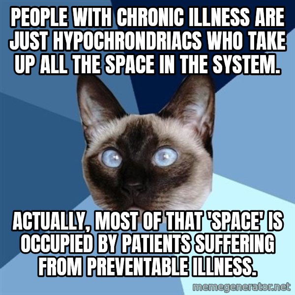 Chronic Illness Cat meme: People with chronic illness are just hypochrondriacs who take up all the space in the system. / Actually, Most of that 'space' is occupied by patients suffering from preventable illness.