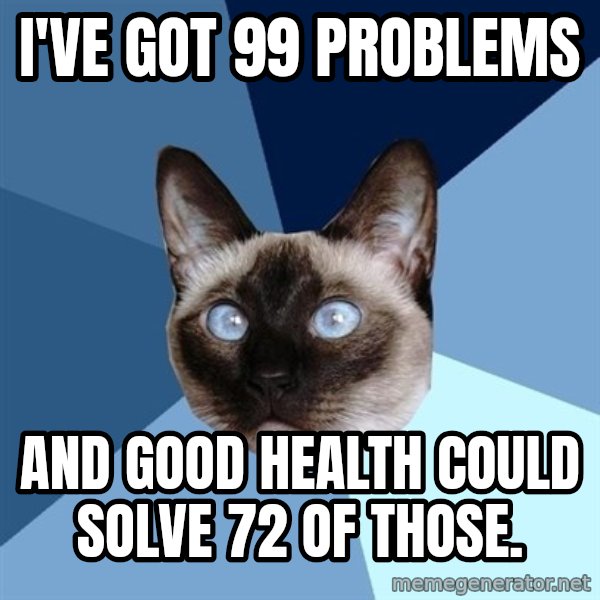 Chronic Illness Cat meme: I've got 99 problems / and good health could solve 72 of those.