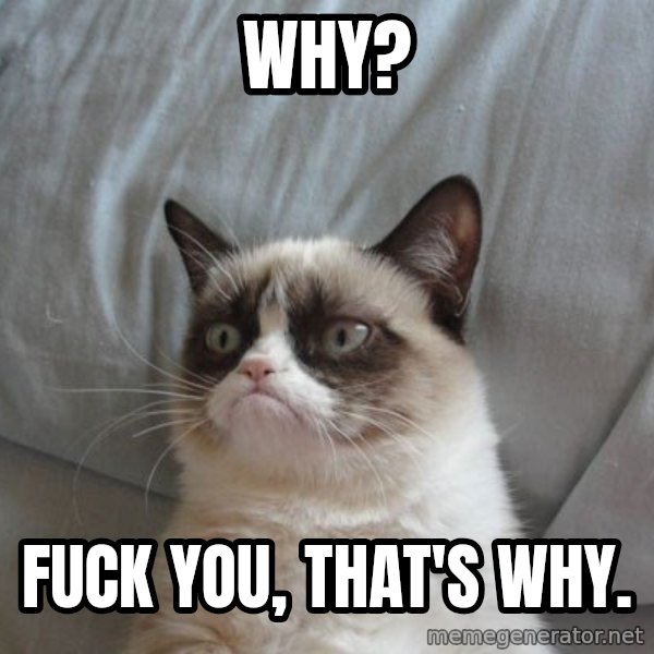 Grumpy cat good meme: Why? / Fuck you, that's why.