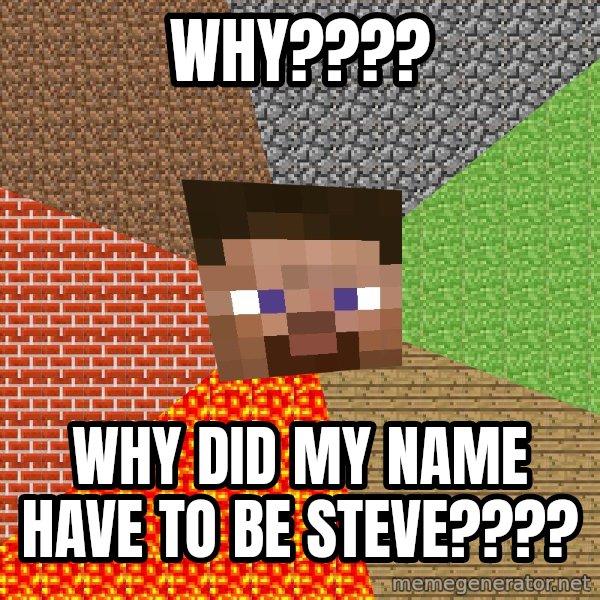 Minecraft Guy meme: WHY???? / WHY Did my name have to be steve????