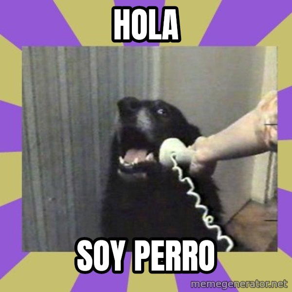 Yes, this is dog! meme: HOLA / SOY PERRO