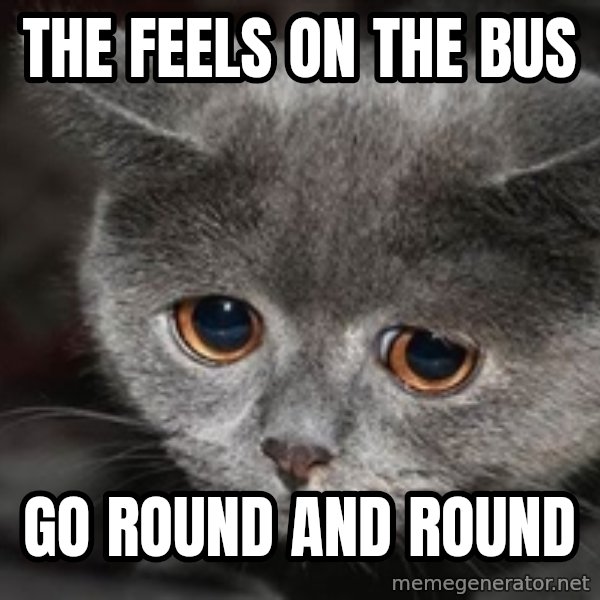 Sadcat meme: The feels on the bus / Go round and round