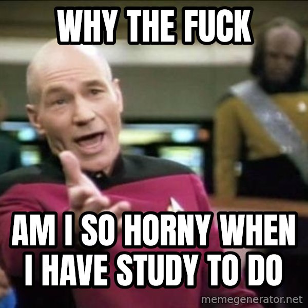Why the fuck meme: Why the fuck / am i so horny when i have study to do
