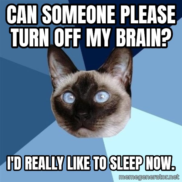 Chronic Illness Cat meme: can someone please turn off my brain? / i'd really like to   sleep now.
