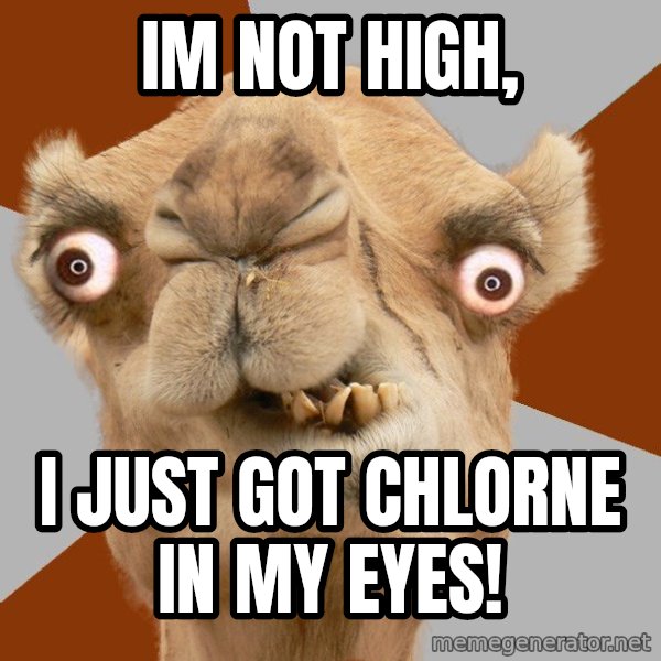 Crazy Camel lol meme: im not high, / i just got chlorne in my eyes!