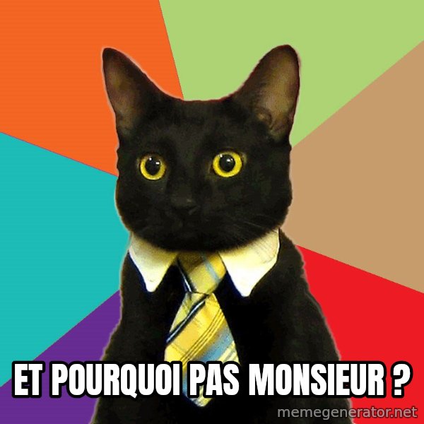 Business Cat meme: Et pourquoi pas Monsieur ?