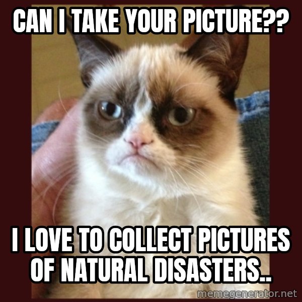 Grumpy Cat  meme: Can I take your picture?? / I love to collect pictures of natural disasters..