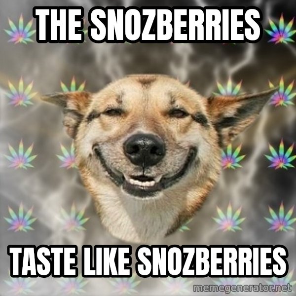 Stoner Dog meme: The snozberries / taste like snozberries