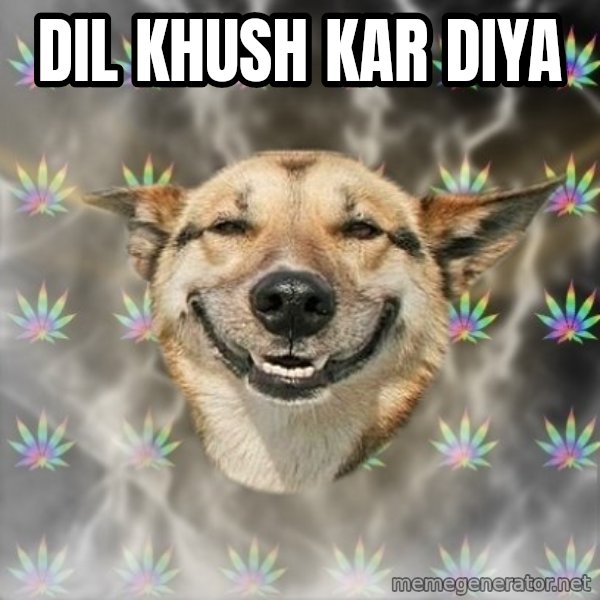 Stoner Dog meme: dil khush kar diya